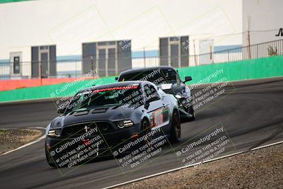 media/Feb-25-2024-Speed Ventures (Sun) [[b9a2a97a4d]]/Mustang Drivers Club/Session 1 (Turns 4 and 5)/